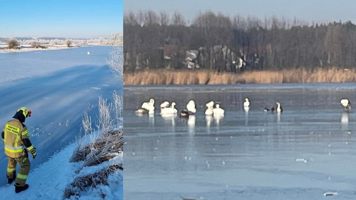 Fot. OSP Deszczno, OSP Lipki Wielkie