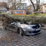 zmiazdzone-auto-reja-zielona-gora-2