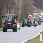Redakcja