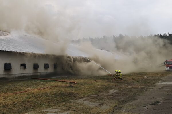 Fot. KM PSP Gorzów Wlkp.