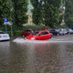 Redakcja