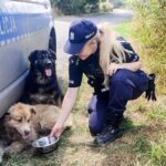 Lubuska Policja