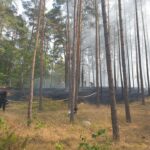 PozarLasuLubrza04