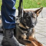 Fot. KPP Strzelce Krajeńskie