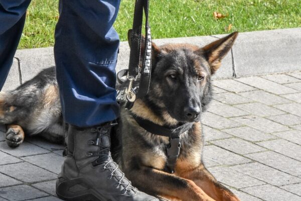 Fot. KPP Strzelce Krajeńskie