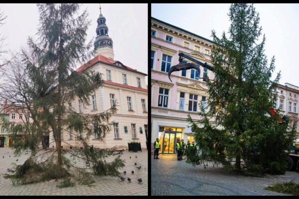 Fot. RDLP Zielona Góra/Bartosz Mirosławski UM