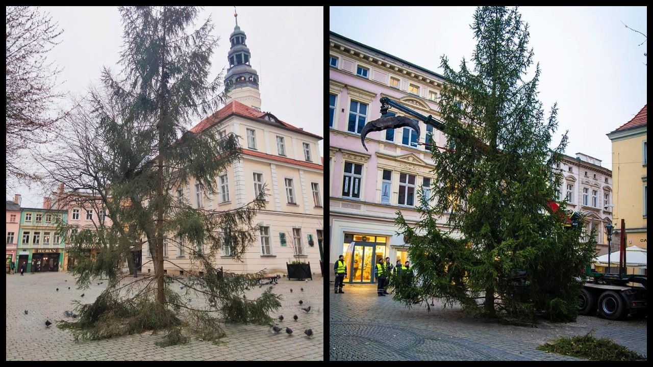 Fot. RDLP Zielona Góra/Bartosz Mirosławski UM