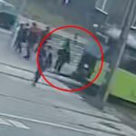 Fot. Dekorplanet.pl