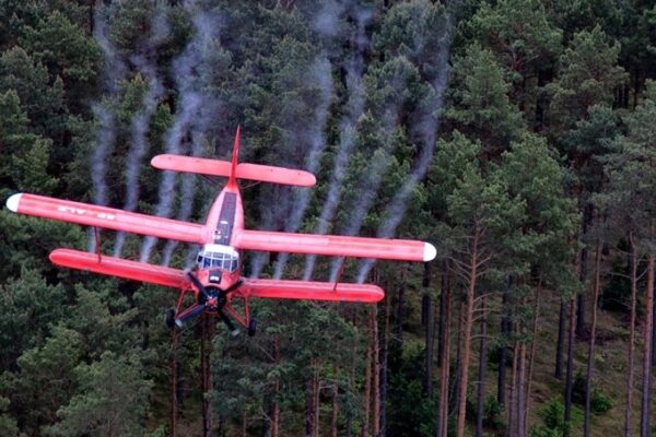 Fot. Jędrzej Wiler / Aeroklub Ziemi Lubuskiej