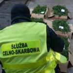 Fot. Krajowa Administracja Skarbowa