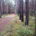 Facebook: Grupa Osiedle Czarkowo