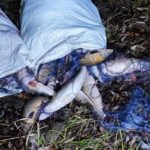 Fot. KPP Strzelce Krajeńskie