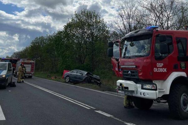 Fot. KPP Świebodzin, KW PSP Gorzów Wlkp.