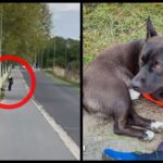 Fot. KPP Świebodzin