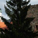 Redakcja