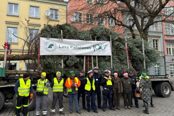 Fot. Urząd Miasta Zielona Góra