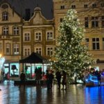 Fot. Urząd Miasta Zielona Góra