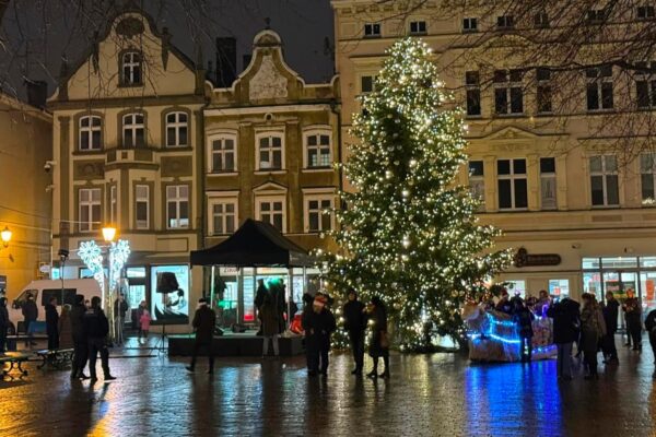 Fot. Urząd Miasta Zielona Góra