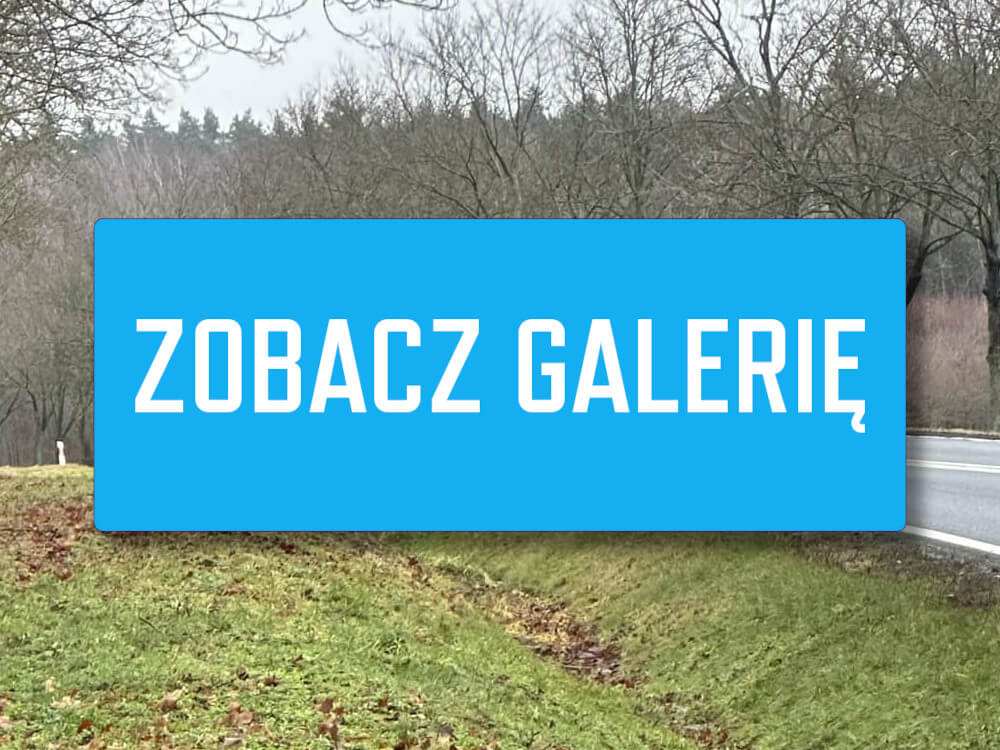 Kolizja na DK27 - Kolizja Żary