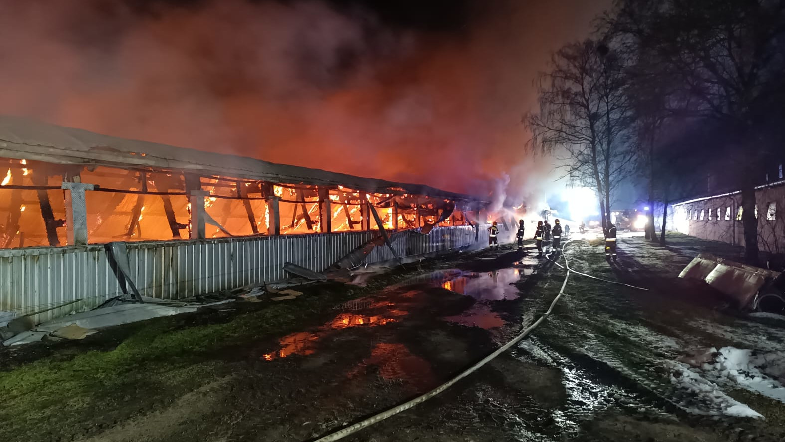 Pożar Glinik - Pożar Gorzów Wielkopolski - Pożar kurnika Glinik