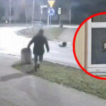Demolował miasto Strzelce Krajeńskie - Rzucał brukiem w komendę policji