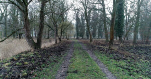 Park przypałacowy w Zaborze