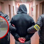 Bił psa Gorzów Wielkopolski - Znęcał się nad psem Gorzów Wielkopolski