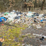 Nielegalne wysypiska śmieci - Urząd Miejski Szprotawa