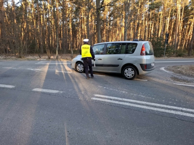 Pijani kierowcy Zielona Góra - Policja Zielona Góra