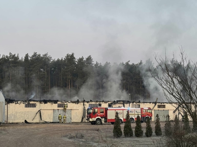 Pożar Siedlisko - Pożar Nowa Sól