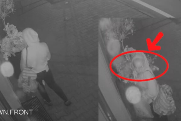 Kradzież Zielona Góra - Złodziejka Zielona Góra