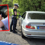 Policja Zielona Góra - Przejście dla pieszych Zielona Góra