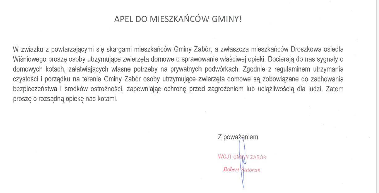 Koty w ogrodzie Gmina Zabór