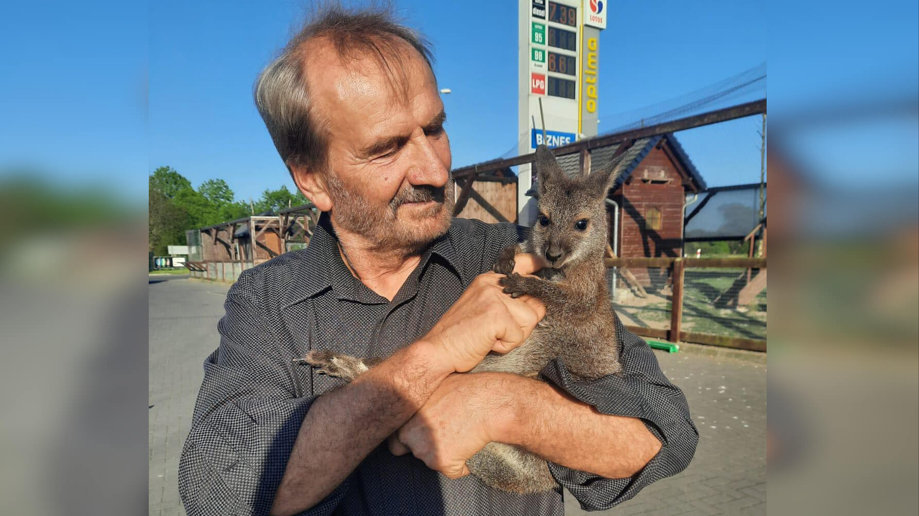 Kradzież kangurów Lubsko stacja MOL