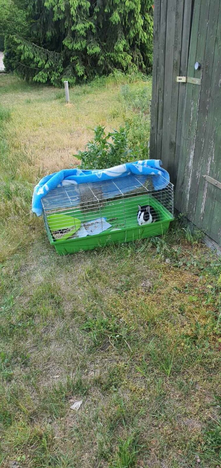 PozarKostrzynNadOdra20.05.25_2 Pożar Kostrzyn nad Odrą - Straż pożarna Kostrzyn nad Odrą