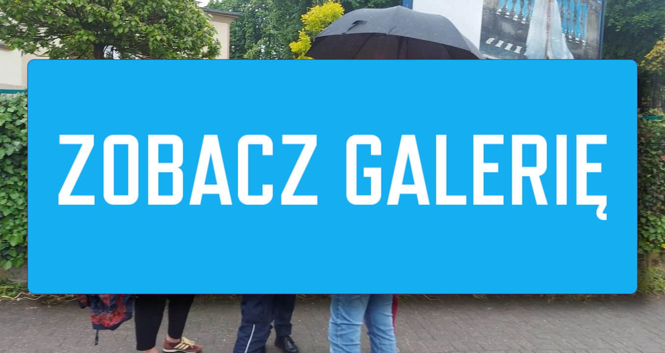 Progi zwalniające Zielona Góra - Wypadki Zielona Góra