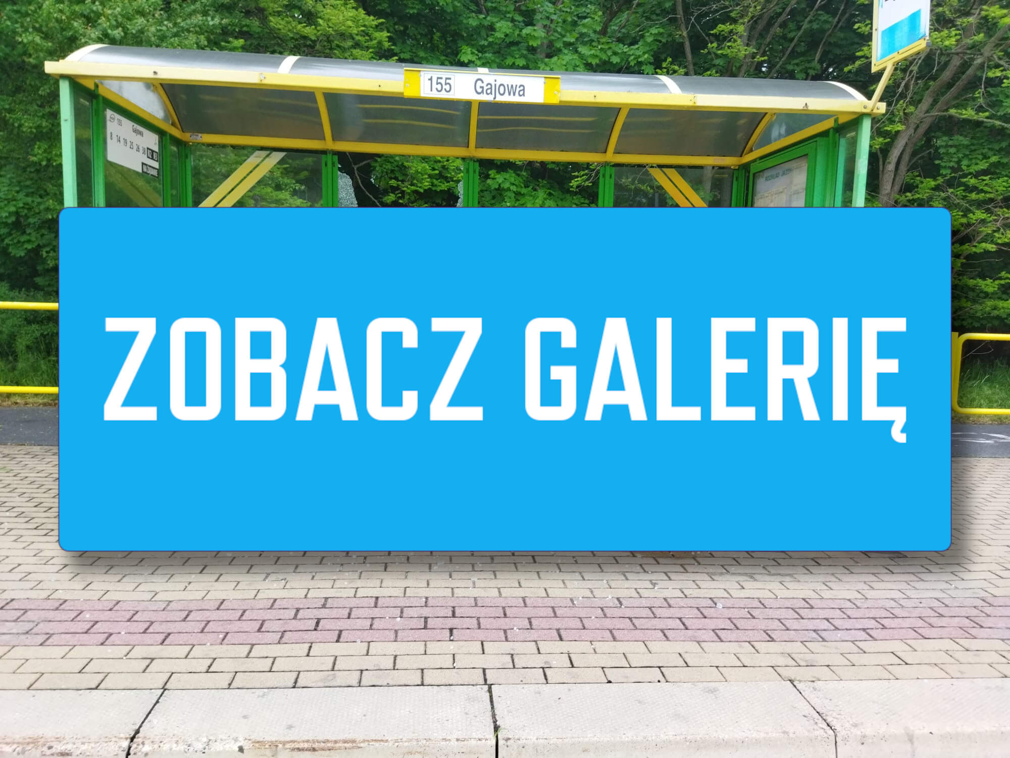 Wandale Zielona Góra - MZK Zielona Góra