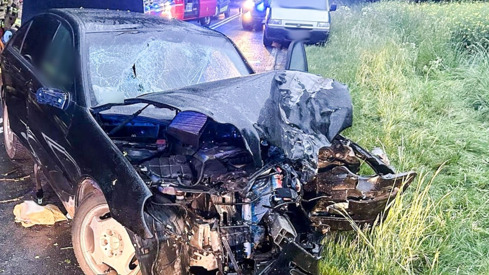 Wypadek Świebodzin - Uderzył w drzewo