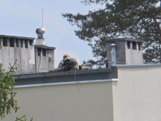 Zakład Karny Krzywaniec - Ćwiczenia służb