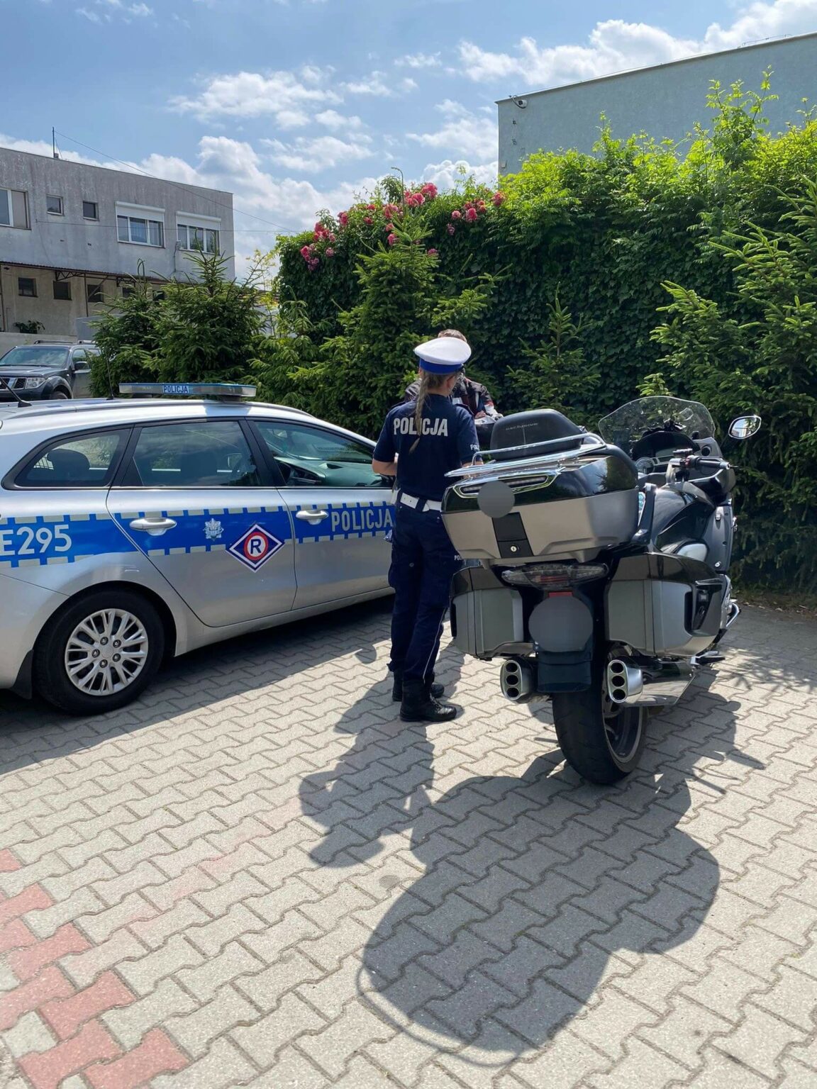 Akcja policji Zielona G&oacute;ra - Policja Zielona G&oacute;ra