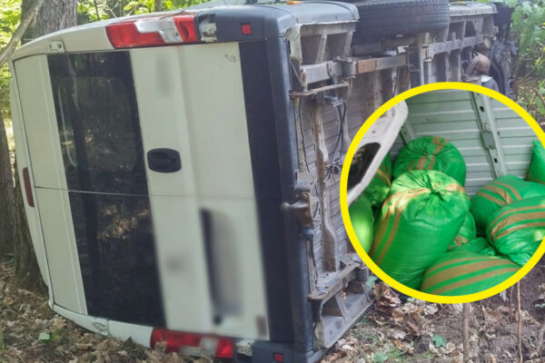 Bus wypadł z drogi - Nielegalny tytoń Świebodzin