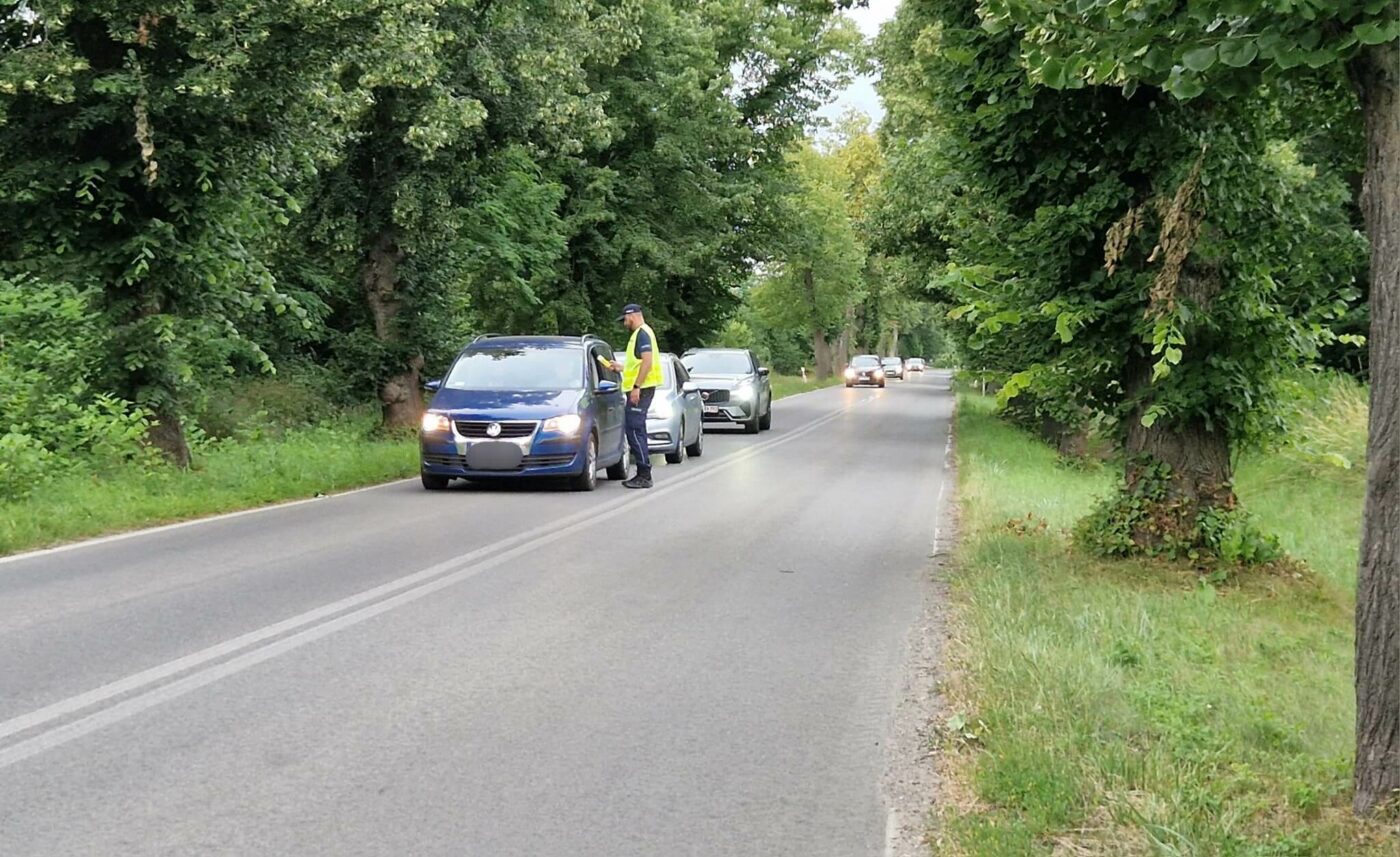 Pijany kierowca Sulechów - Policja Sulechów