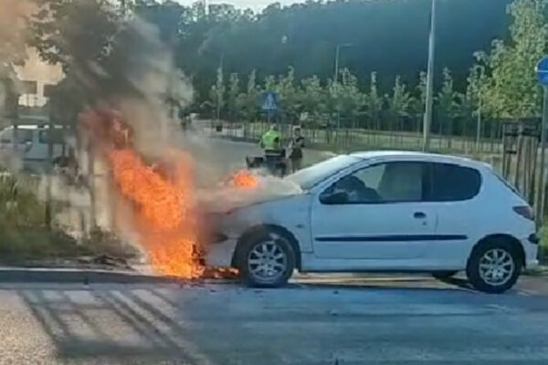 Pożar Zielona Góra - Straż pożarna Zielona Góra