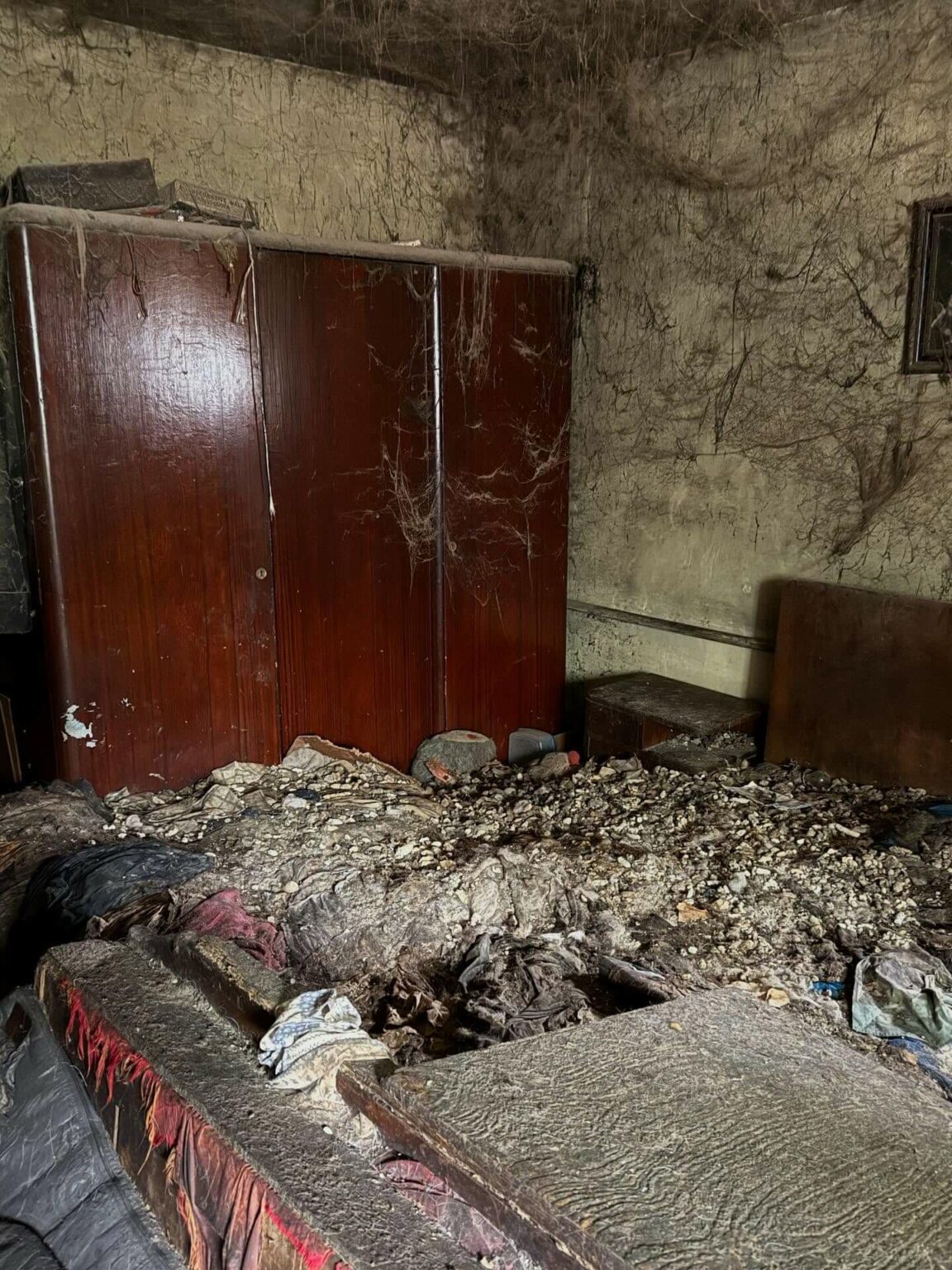 Psy w tragicznych warunkach Gmina Świdnica Lubuskie