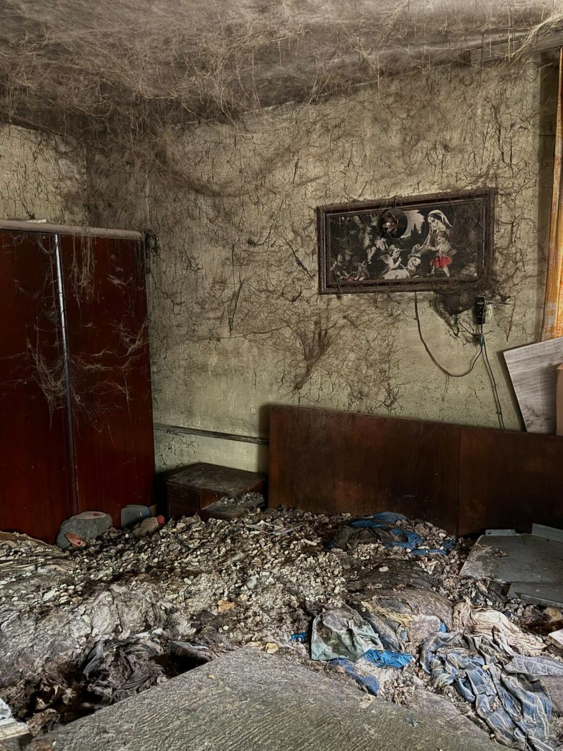 Psy w tragicznych warunkach Gmina Świdnica Lubuskie