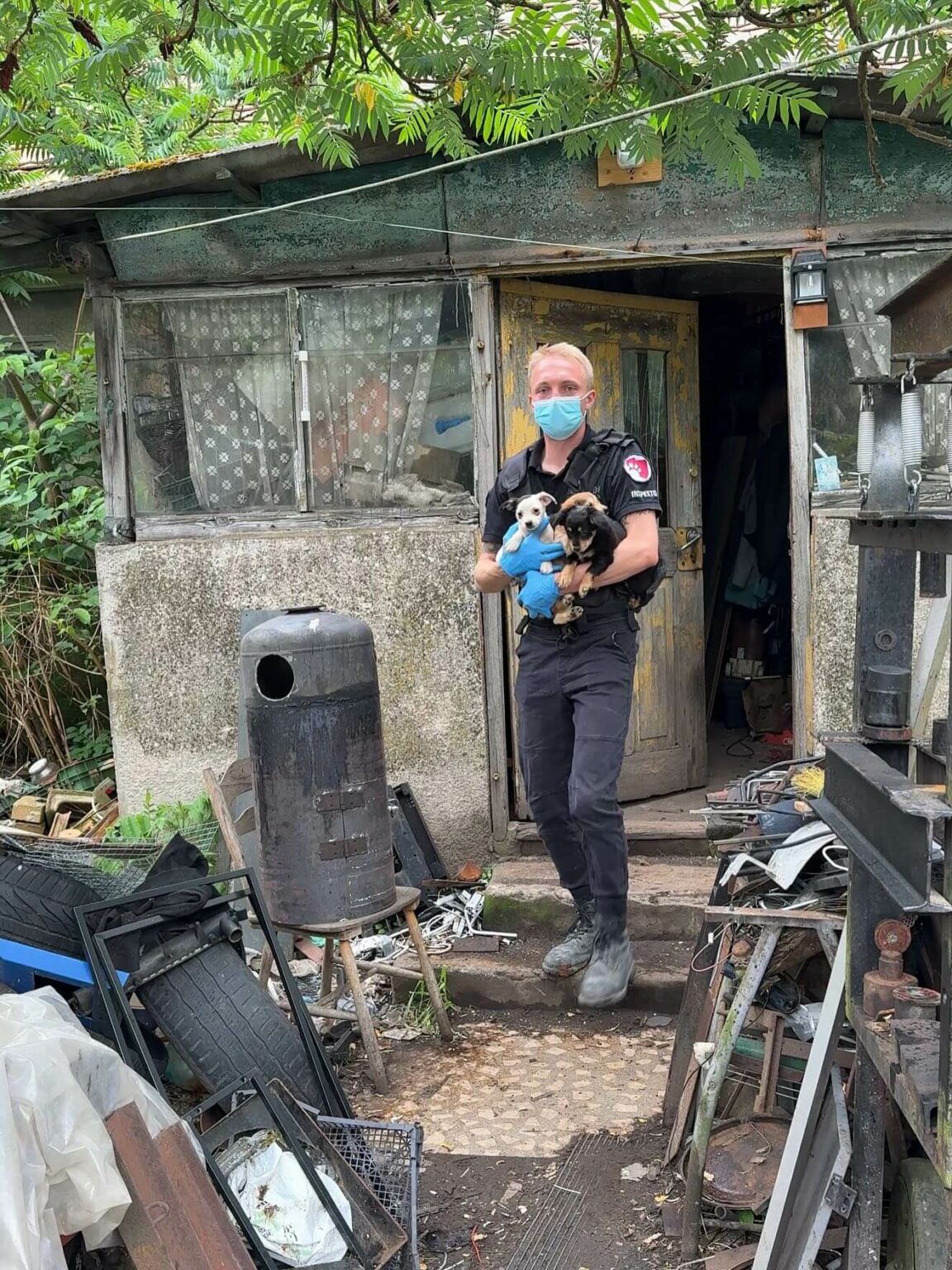 Psy w tragicznych warunkach Gmina Świdnica Lubuskie