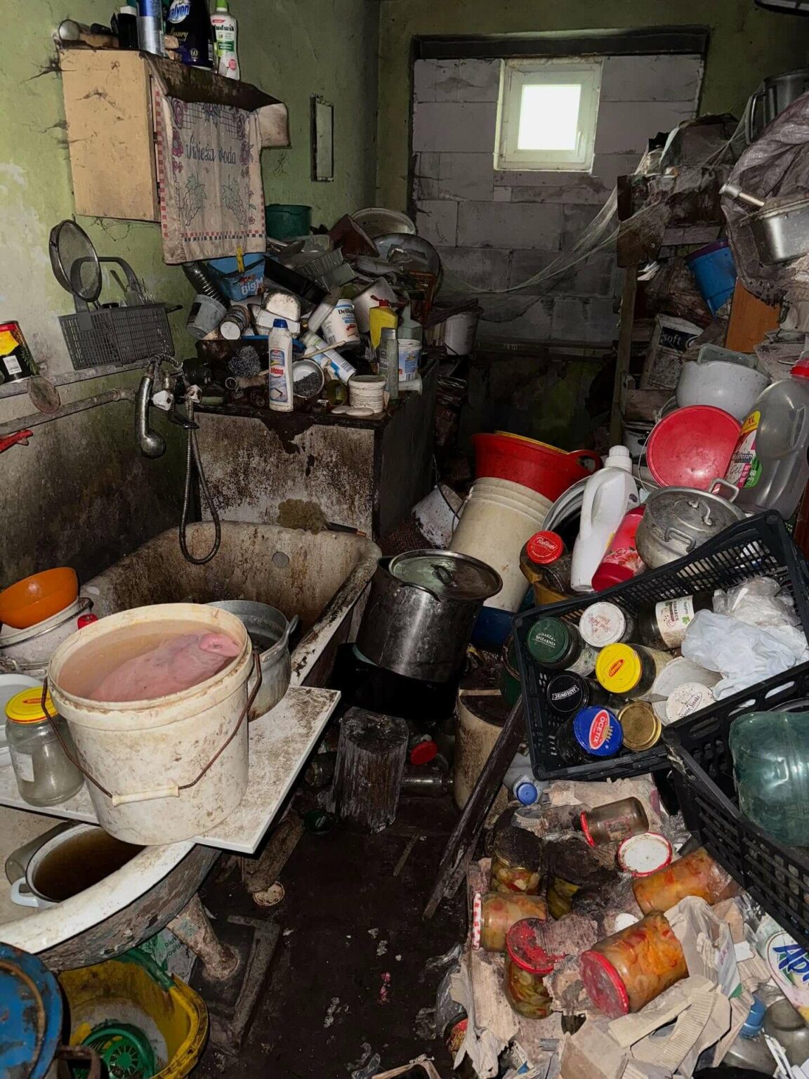 Psy w tragicznych warunkach Gmina Świdnica Lubuskie