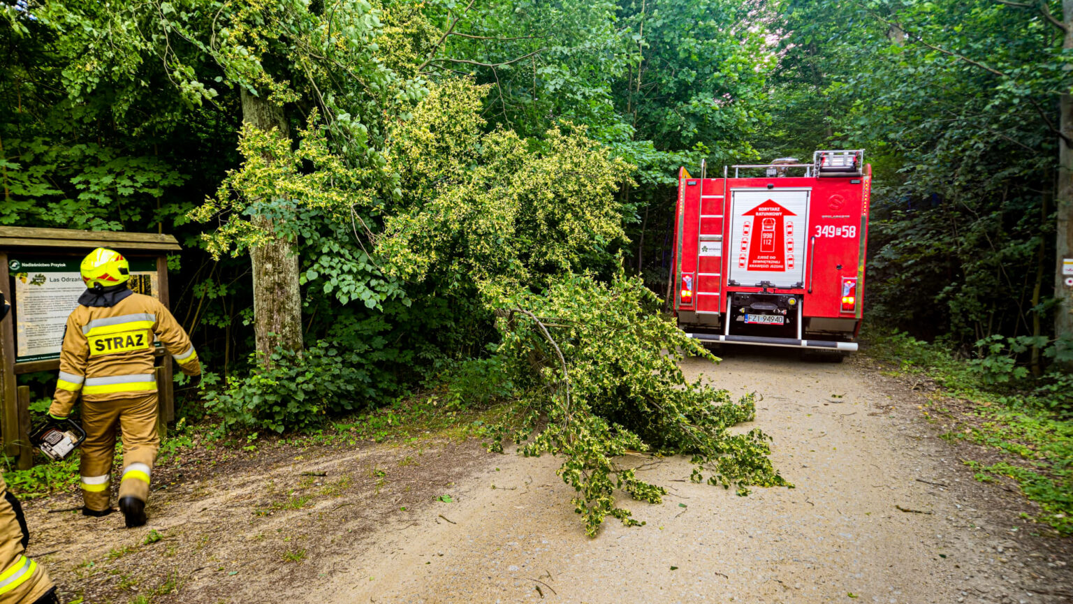 SilnyWiatrLubuskie24.06.25_1 Silny wiatr Lubuskie - Straż pożarna Lubuskie