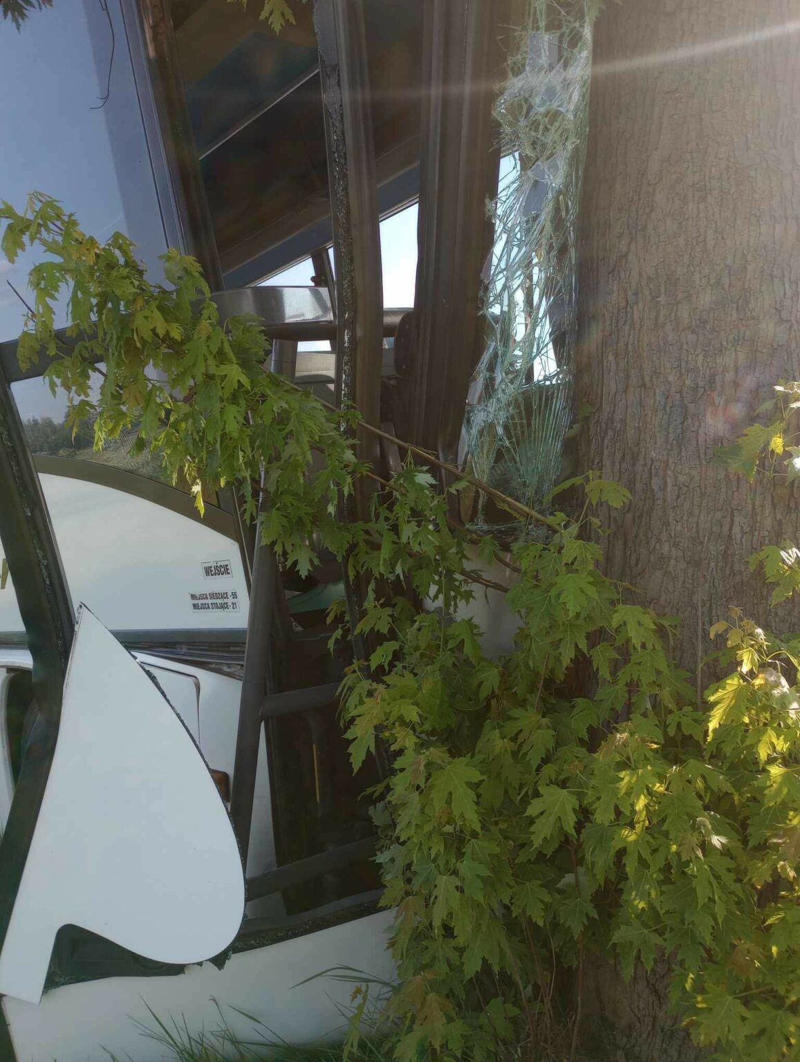 Wypadek na DW278 - Wypadek Bojadła