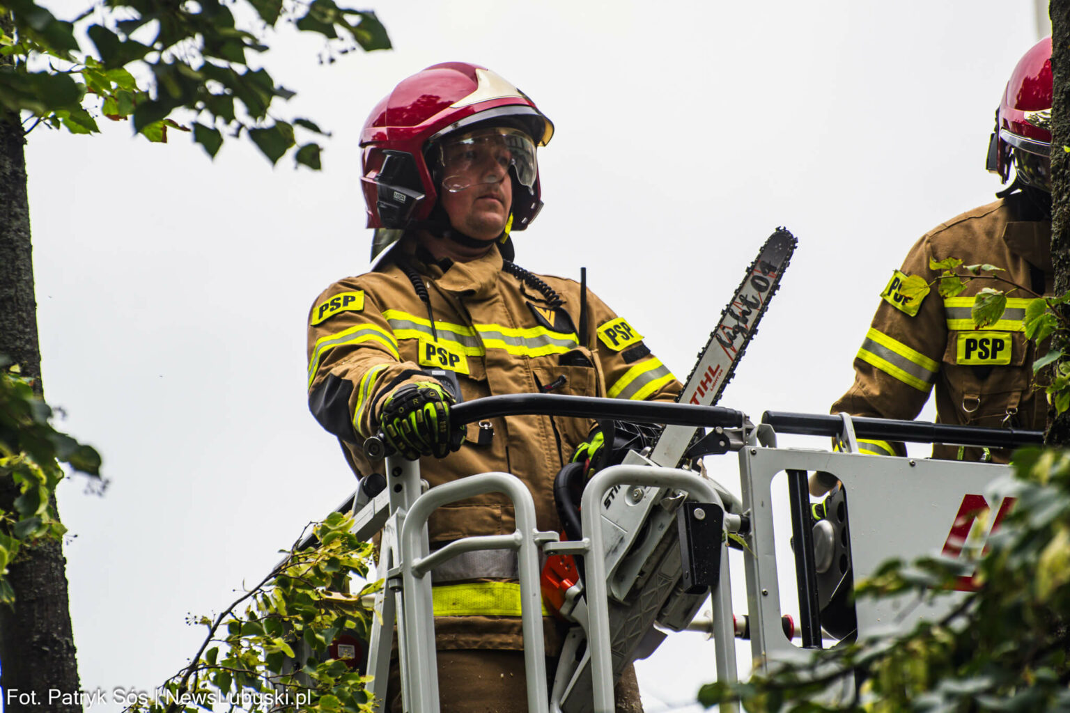 DrzewoZielonaGoraDeptak17.07.25_2 Akcja straż pożarna Zielona Góra - Deptak Zielona Góra